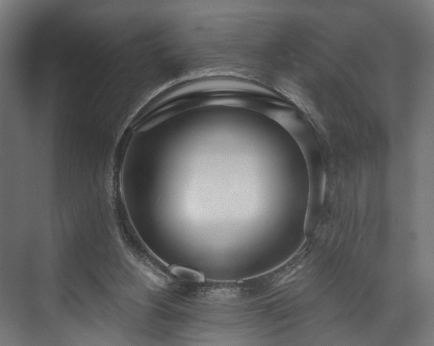 X0000073480156200608071030