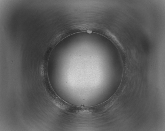 X0000073480161200608071030