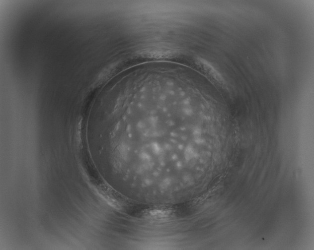 X0000073480163200608071030