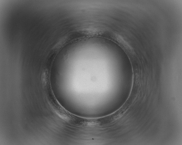 X0000073480165200608071030