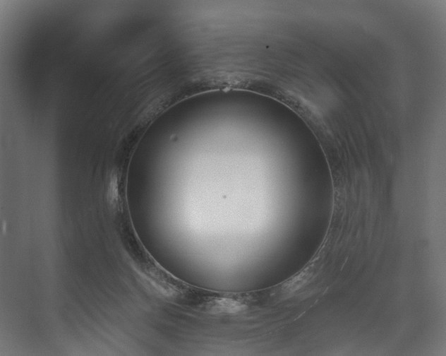 X0000073480166200608071030