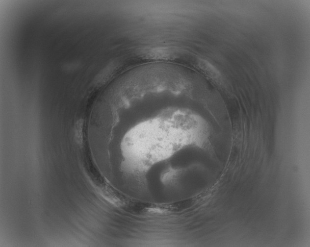 X0000073480167200608071030