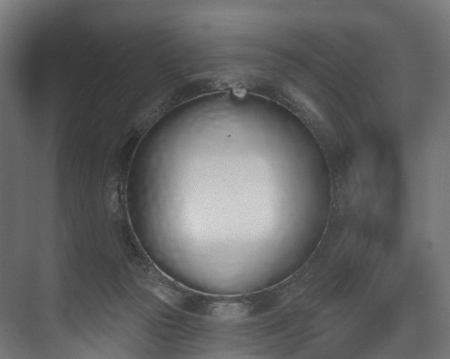 X0000073480169200608071030