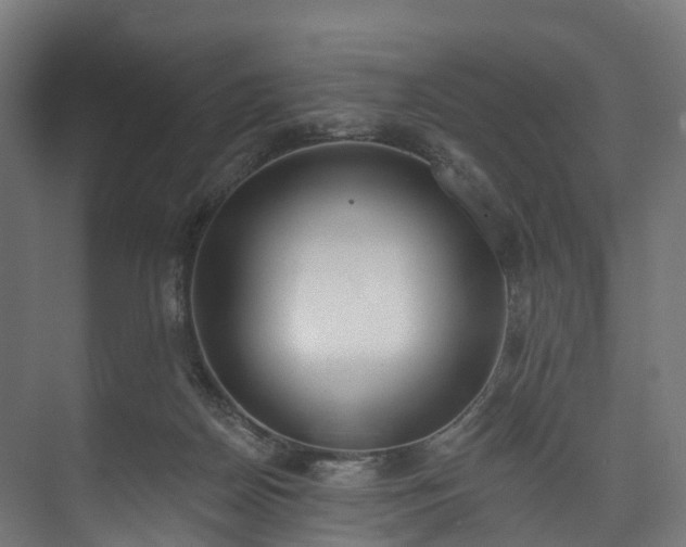 X0000073480170200608071030