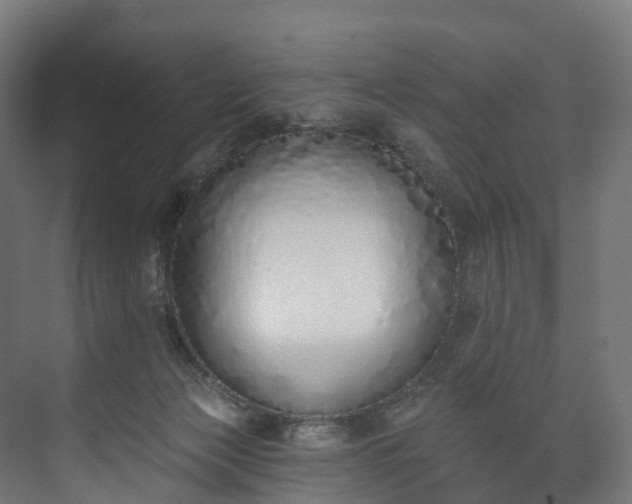 X0000073480173200608071030