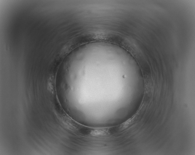 X0000073480175200608071030