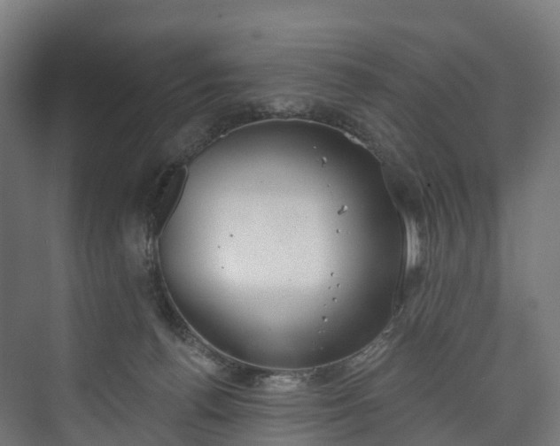 X0000073480176200608071030