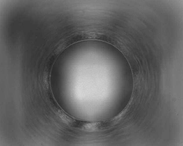 X0000073480178200608071030