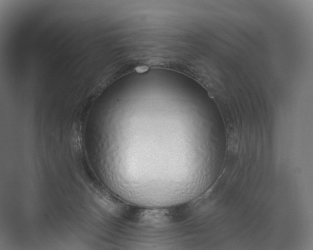 X0000073480179200608071030