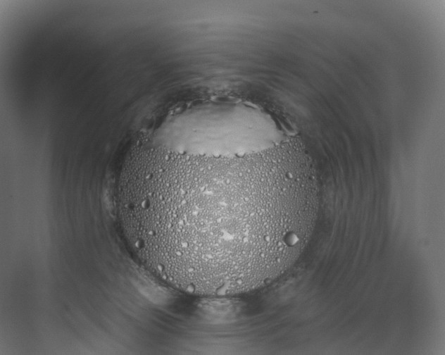 X0000073480181200608071030