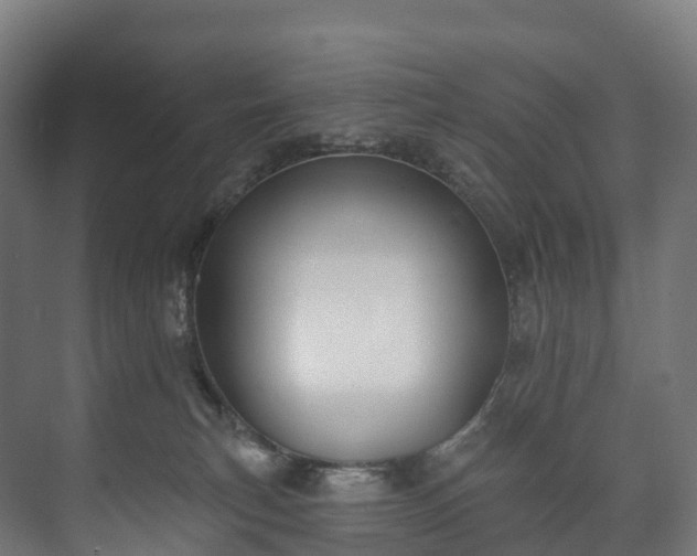 X0000073480183200608071030