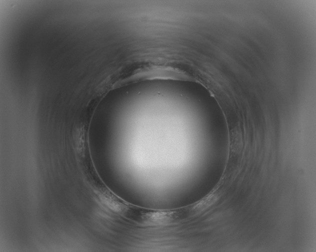 X0000073480184200608071030