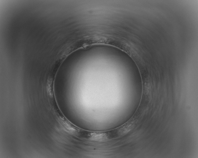 X0000073480185200608071030