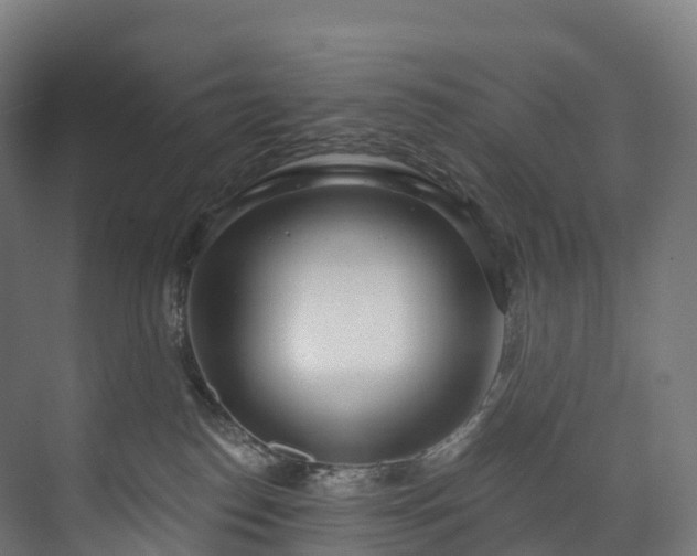 X0000073480186200608071030