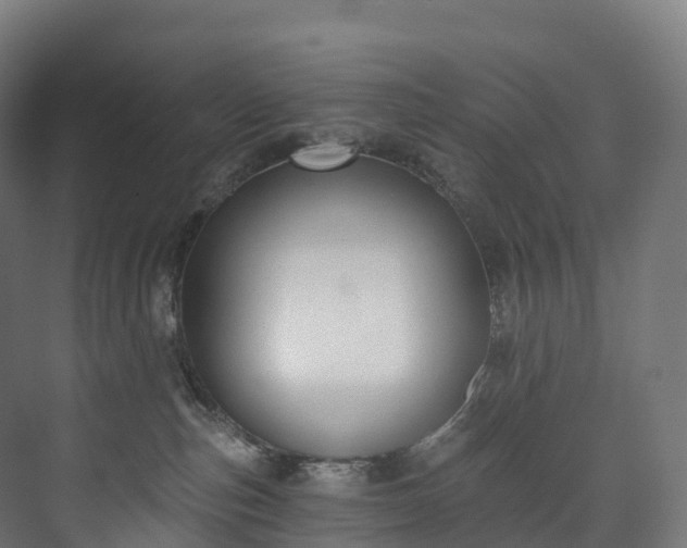 X0000073480187200608071030