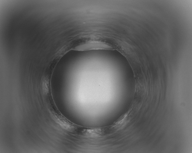 X0000073480188200608071030