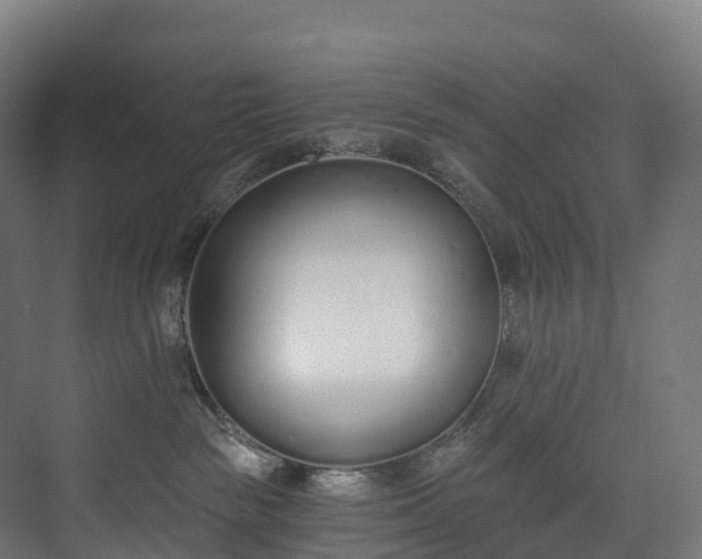 X0000073480189200608071030