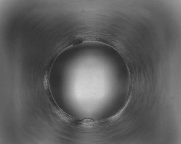 X0000073480190200608071030