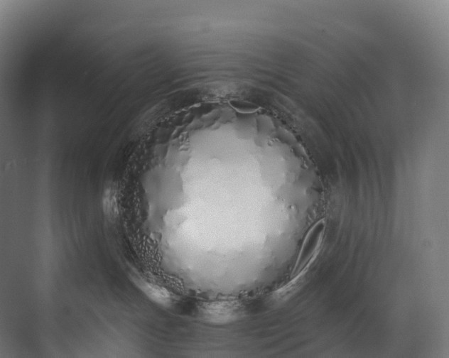 X0000073480191200608071030