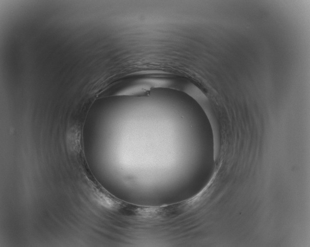 X0000073480192200608071030