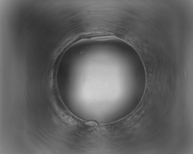 X0000073480194200608071030