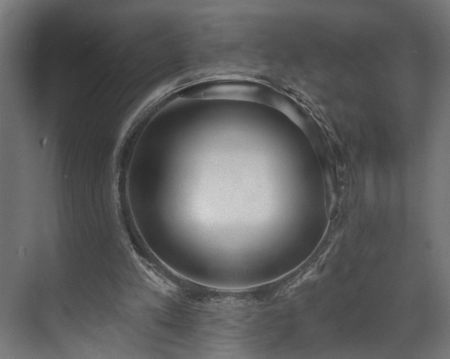 X0000073480197200608071030