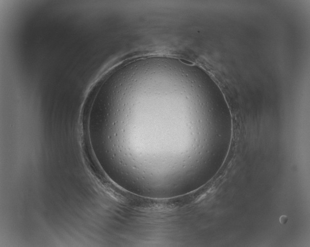 X0000073480198200608071030