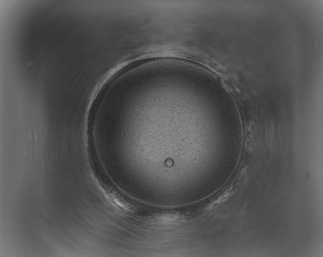 X0000073480200200608071029