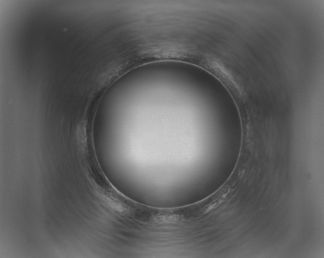 X0000073480202200608071029