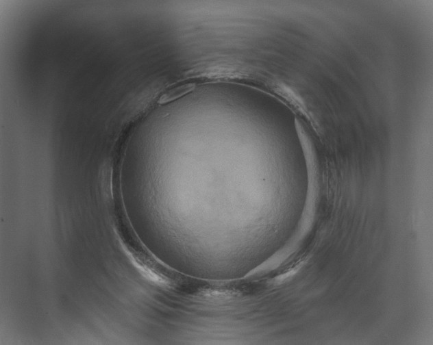 X0000073480205200608071029