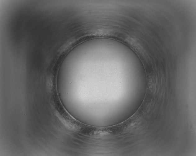 X0000073480208200608071029