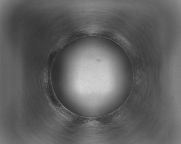 X0000073480210200608071029