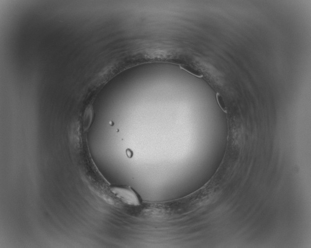 X0000073480211200608071029