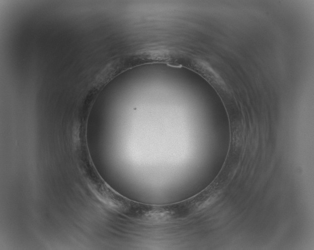 X0000073480213200608071029