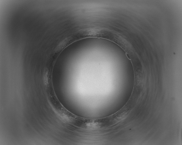 X0000073480216200608071029