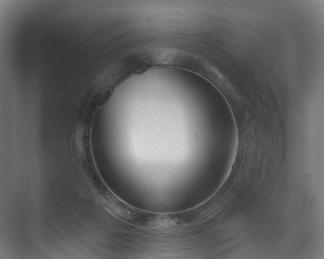 X0000073480217200608071029