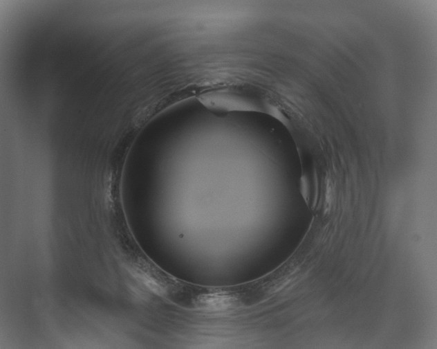 X0000073480219200608071029