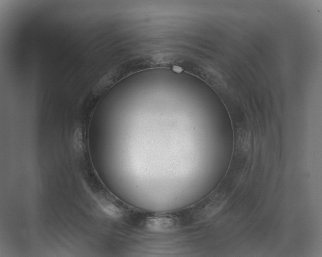 X0000073480220200608071029