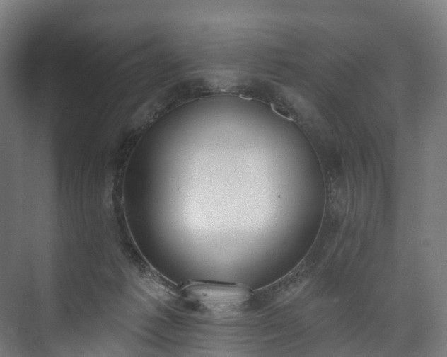 X0000073480221200608071029