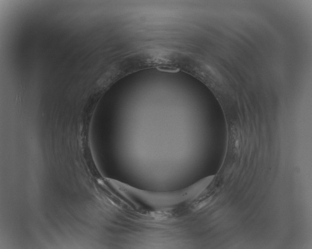 X0000073480223200608071029