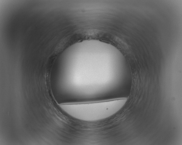 X0000073480225200608071029