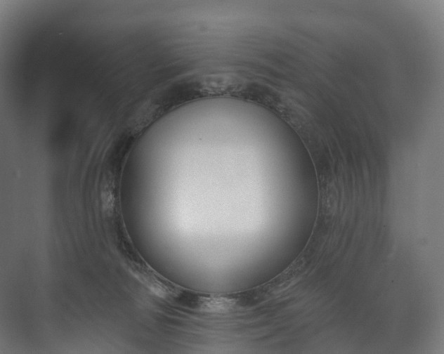 X0000073480226200608071029