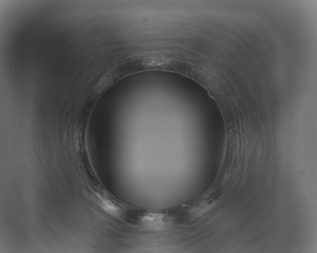 X0000073480227200608071029