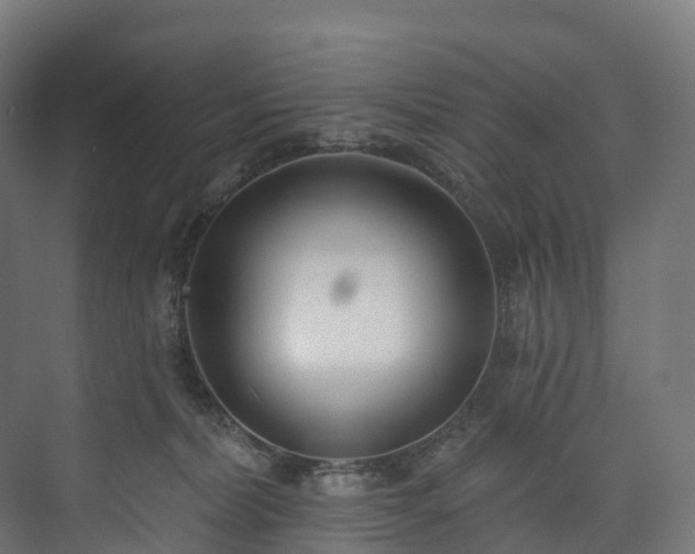 X0000073480228200608071029