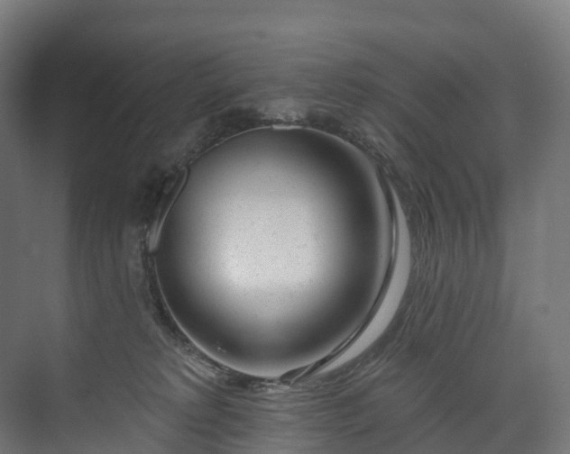 X0000073480229200608071029