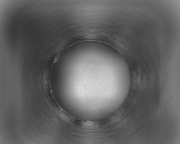 X0000073480230200608071029