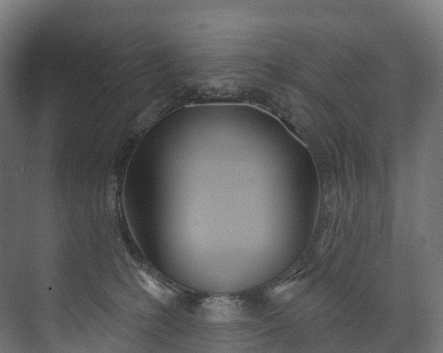 X0000073480231200608071029