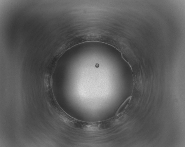 X0000073480232200608071029