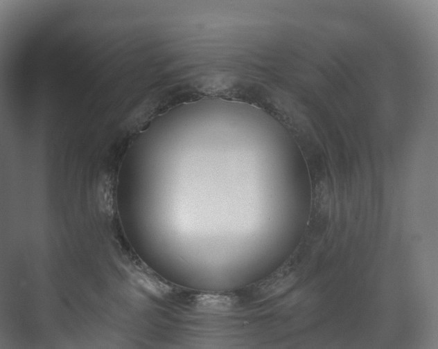 X0000073480234200608071029