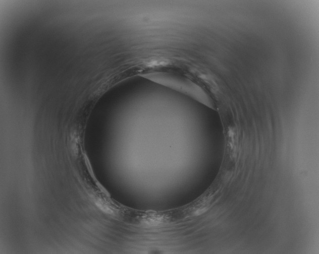 X0000073480235200608071029